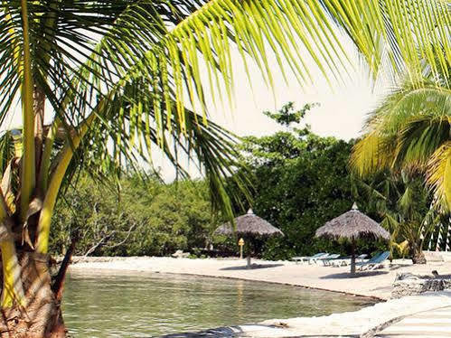 Whispering Palms Island Resort Баколод Екстер'єр фото